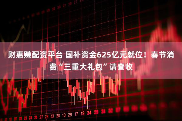 财惠赚配资平台 国补资金625亿元就位！春节消费“三重大礼包”请查收